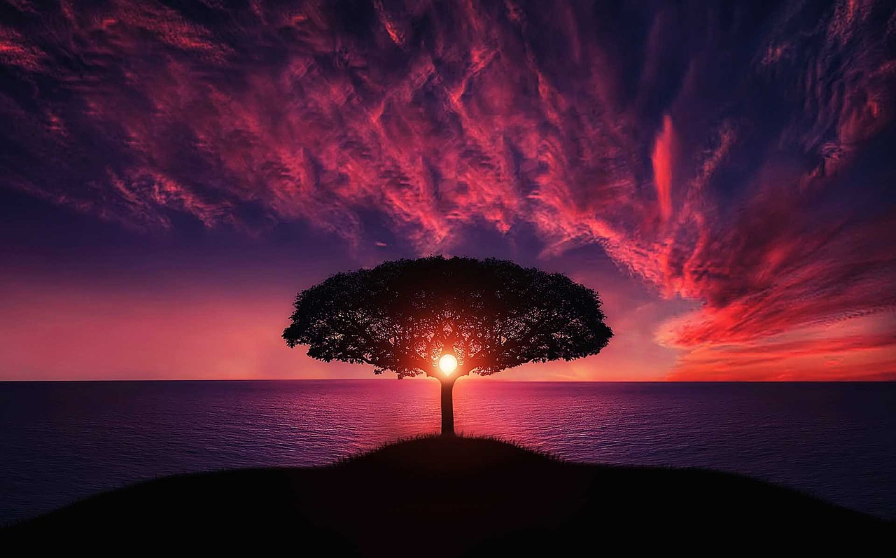 En Sie ein Bild, das ein digitales Gemälde eines ruhigen Sonnenuntergangs zeigt, bei dem die lebendigen Farbtöne des Himmels nahtlos in die ruhigen Töne der Landschaft übergehen und den faszinierenden visuellen Reiz der Farbkonsistenz hervorheben