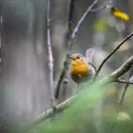 En Sie ein Bild, das ein Spektrum lebendiger Farben zeigt, die von kühlen Blautönen bis hin zu warmen Orange- und Gelbtönen reichen