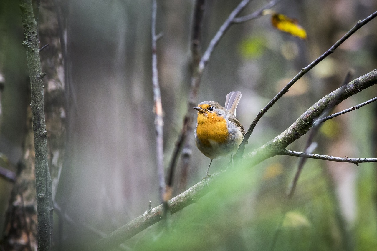 En Sie ein Bild, das ein Spektrum lebendiger Farben zeigt, die von kühlen Blautönen bis hin zu warmen Orange- und Gelbtönen reichen