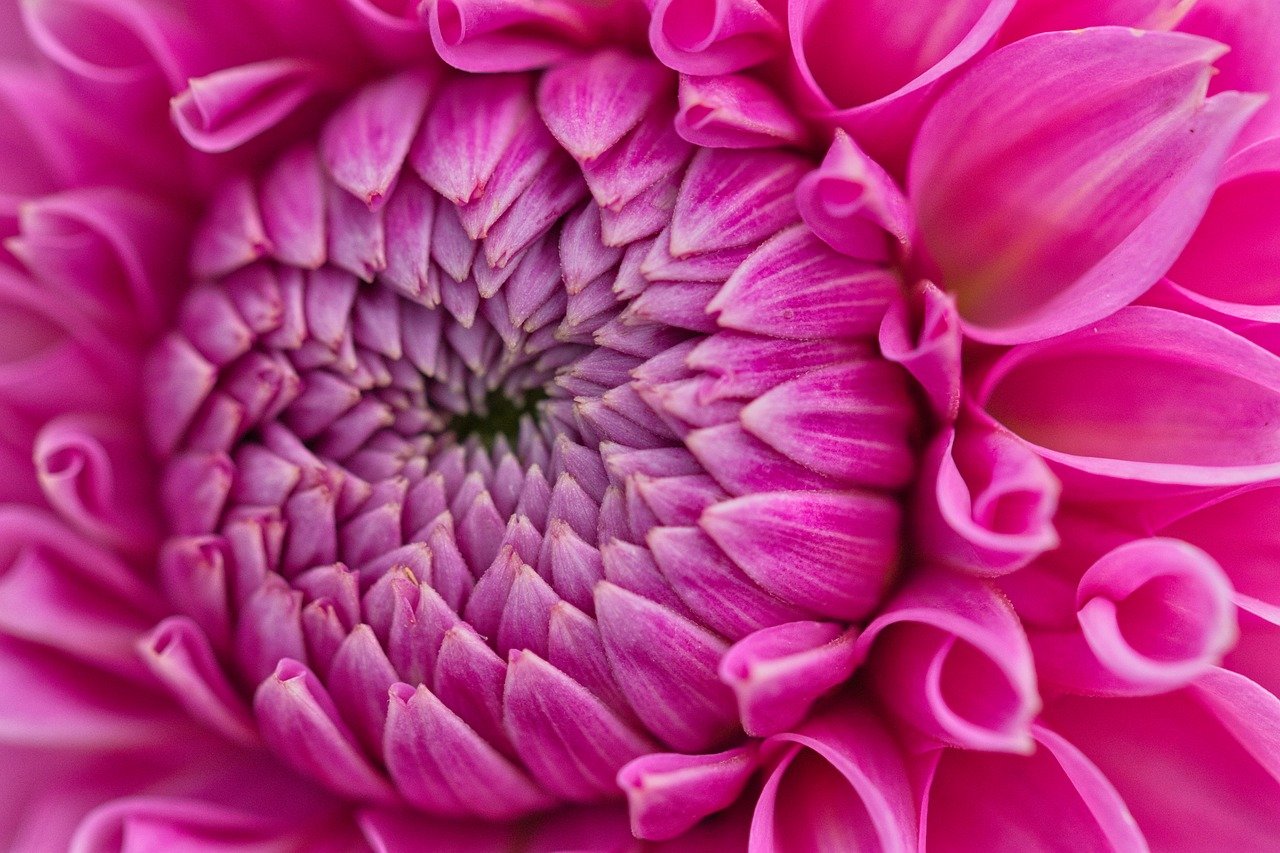 En Sie ein Bild, das einen perfekt kalibrierten Monitor zeigt, der lebendige und präzise Farben mit einer sanften, ausgewogenen Helligkeit anzeigt, die die Belastung der Augen reduziert