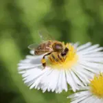 Len Sie ein Bild, das ein Spektrum an Videoinhalten zeigt, das von niedriger Auflösung und verschwommenen Bildern bis hin zu hochauflösenden und kristallklaren Bildern reicht