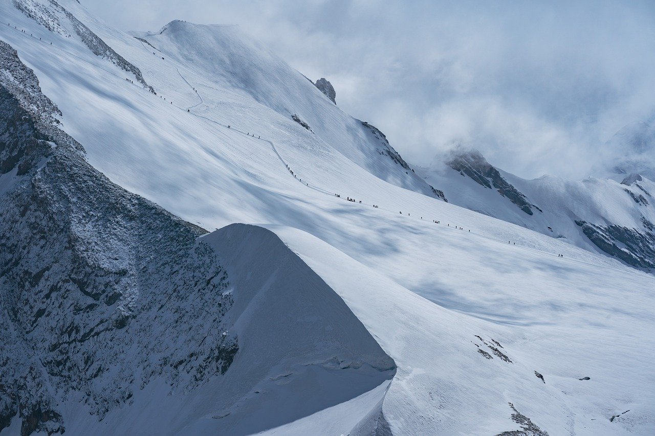 An image depicting a vibrant landscape with a diverse range of colors, showcasing the effects of gamma correction on image reproduction